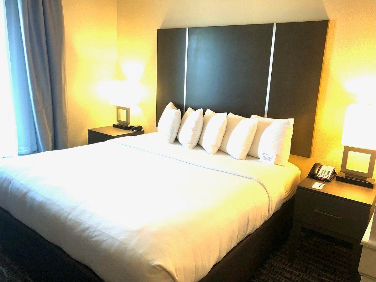 Comfort Suites Near Sam Houston Race Park Zewnętrze zdjęcie